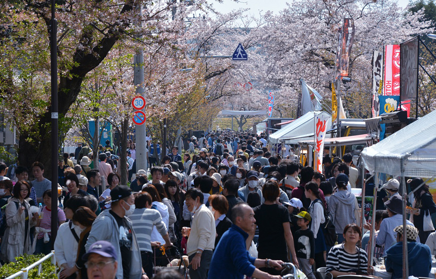 Komae Cherry Blossom Festival